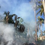 Carbón de leña, el negocio de la vergüenza que genera millones de dólares en Haití y acelera el cambio climático