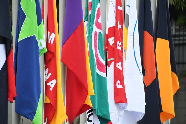 Partidos políticos recibirán $10.9 millones en subsidio poselectoral para 2026