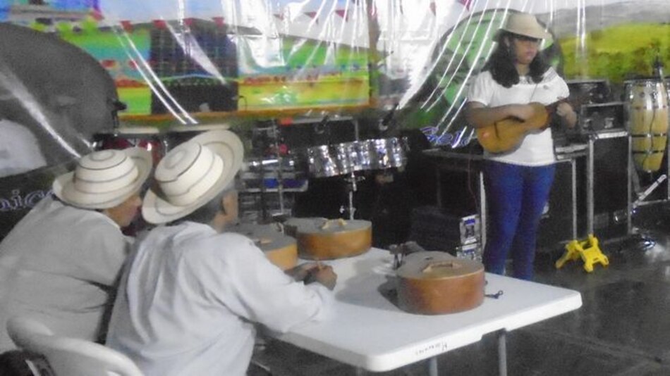 Músicos buscan salvar árbol utilizado para hacer mejorana
