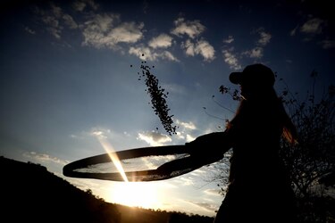 Brasil quiere liderar mercado global de bioinsumos con experiencia tropical y tecnología