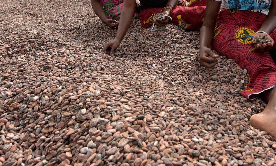 Evalúan demandas contra Nestlé y Cargill