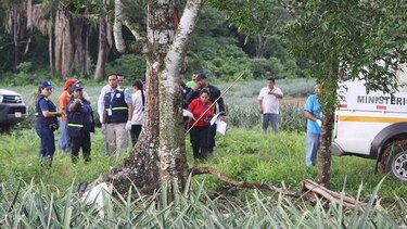 La Chorrera: rayo mata a dos personas en finca de piñas