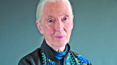 Jane Goodall, una mujer libre