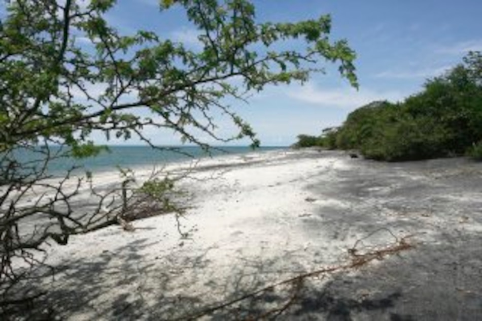 ´Titulaciones en Juan Hombrón fueron ilegales´