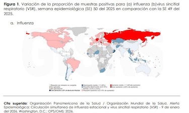 La influenza y el virus sincitial circulan de manera simultánea en Panamá