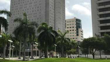 Ricardo Martinelli: un expresidente en un hostal federal