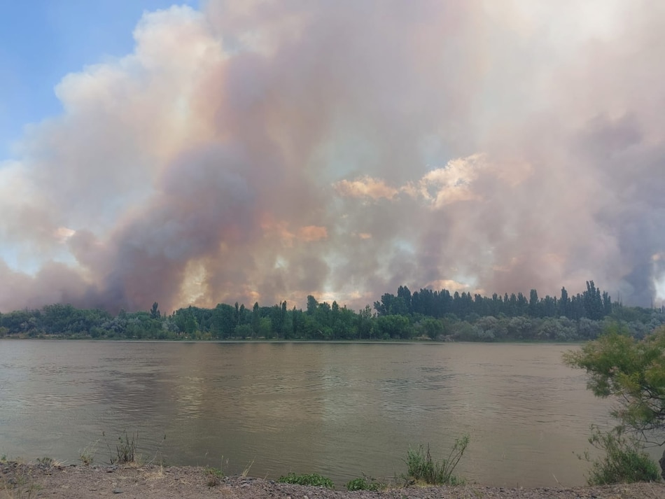 Los incendios forestales arrasan unas 2,100 hectáreas en la Patagonia argentina