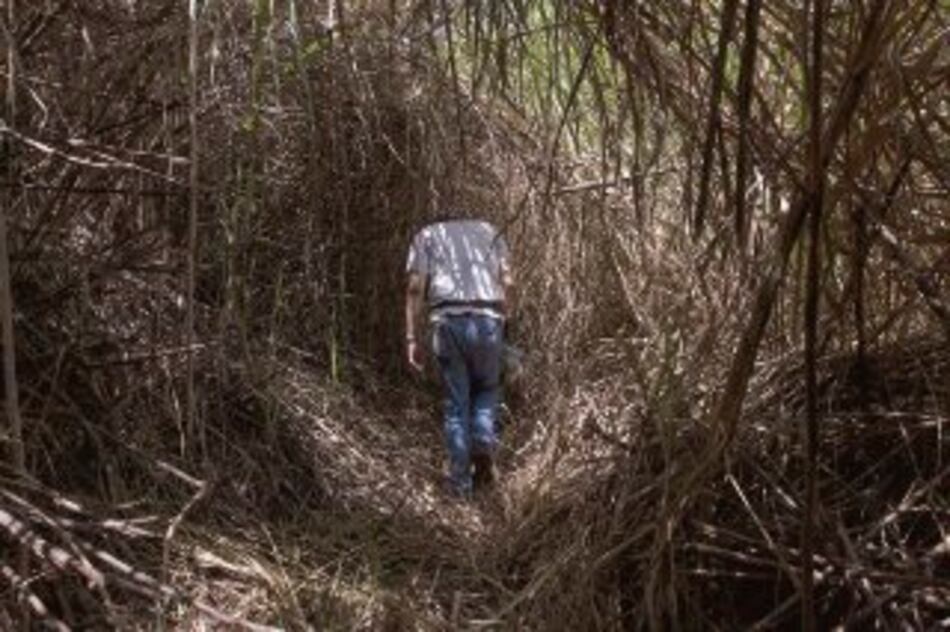 Historia que se tragó la selva