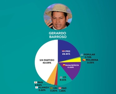 Tribunal Electoral revela porcentaje de personas en partidos que firmaron a independientes