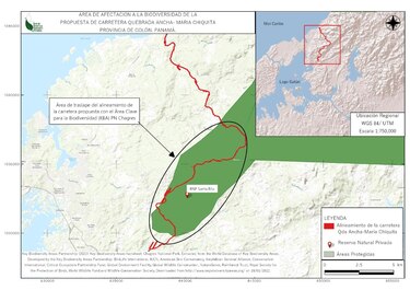 CIAM: ‘carretera entre Quebrada Ancha y María Chiquita pone en riesgo la biodiversidad’