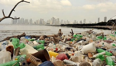 En 2050 habrá más botellas plásticas que peces en el mar: Foro de Davos