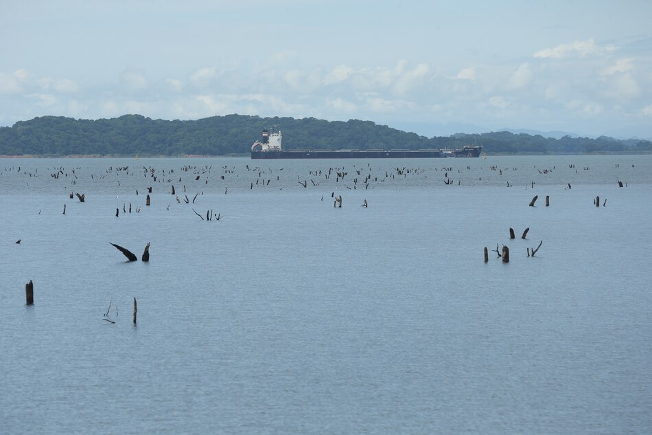 Crisis del Canal se extiende: industria marítima auxiliar pierde el 50% del mercado