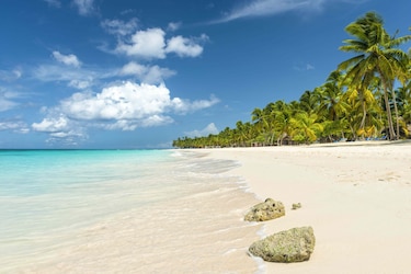 Copa Airlines compite fuerte en República Dominicana; anuncia su cuarto destino en el país caribeño