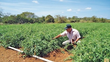 Idiap busca incentivar el relevo generacional