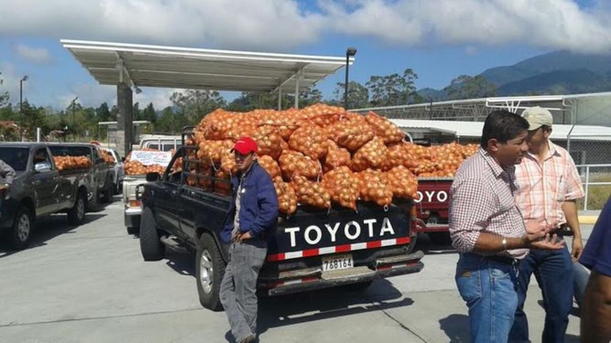 Productores de cebolla reabren vía en Volcán