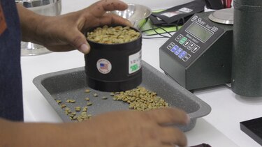 Comienza evaluación para escoger al mejor café panameño
