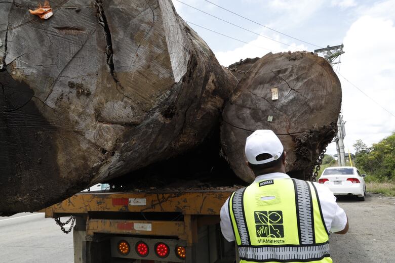 Miambiente prohíbe el transporte de madera los fines de semana