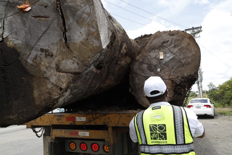 Miambiente prohíbe el transporte de madera los fines de semana