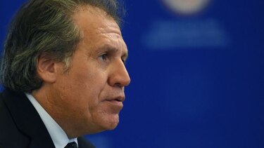OEA pide que la comunidad internacional tenga acceso a la sentencia de López