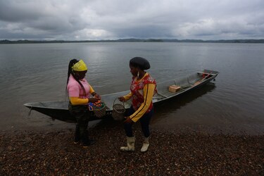La Plata, la comunidad que se dedica a cuidar los manglares en el pacífico colombiano