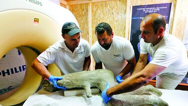 Tecnología para estudiar restos de pompeya