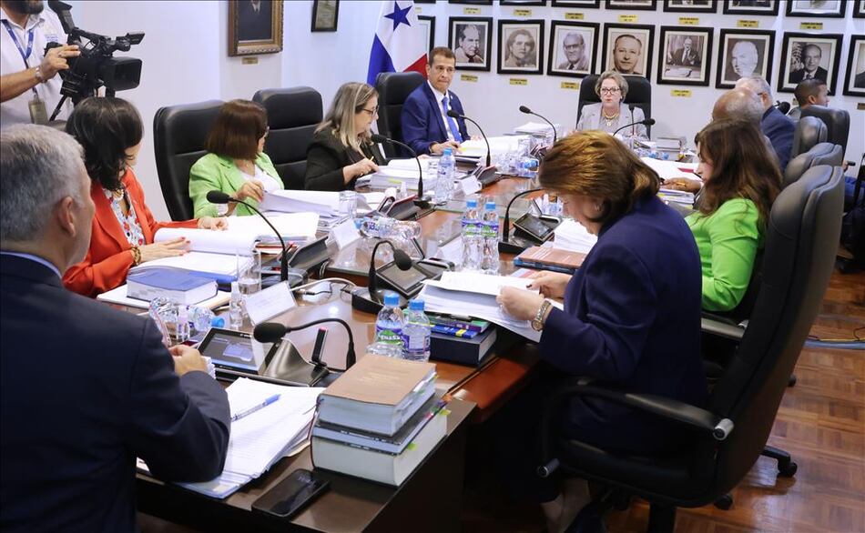 Cinco observaciones sobre un fallo histórico digno de múltiples estudios