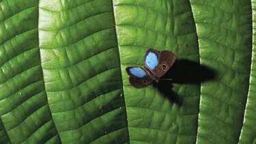 El planeta pide una tregua, hoy en el día de la Tierra