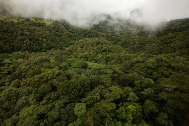 Hacia la economía ‘net zero’