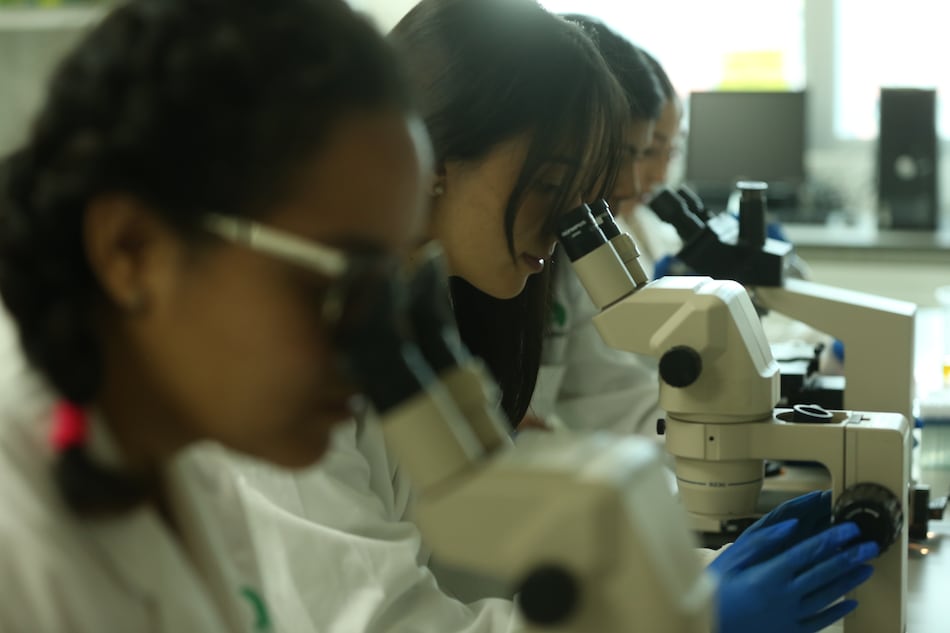 Panamá necesita fortalecer la investigación clínica