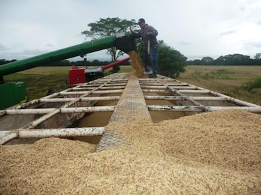 Comerciantes y productores en Chiriquí piden revisión de control de precios