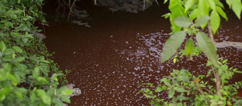 Matasnillo: Río que brilla, río que muere