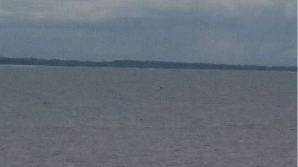 Estadounidense se ahoga en playa La Garita de Pedasí
