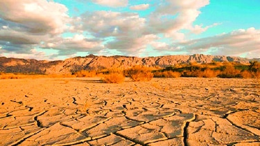 Documental sobre la deforestación