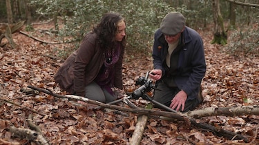 Las imágenes que muestran el microscópico y poco conocido mundo de los mohos deslizantes