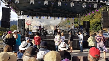 El verano Panamusical