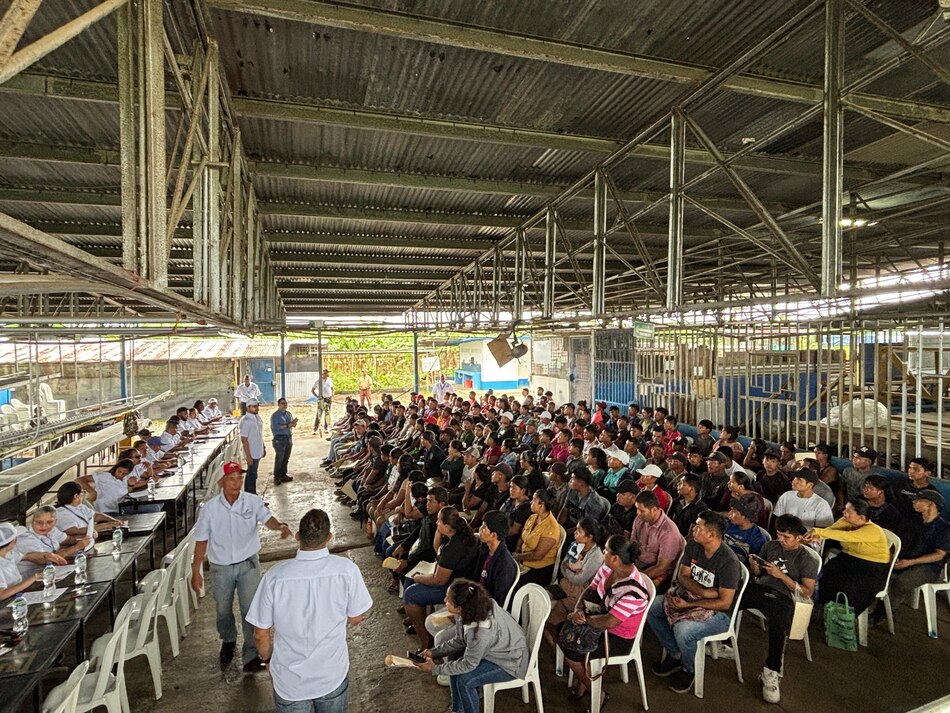 Sobrepasan las 1,600 personas interesadas en trabajar con Chiquita en Bocas del Toro