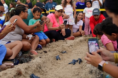 Playas convertidas en aulas para aprender a proteger a la tortuga tinglar