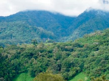 Piden a nuevas autoridades atender parque volcán Barú