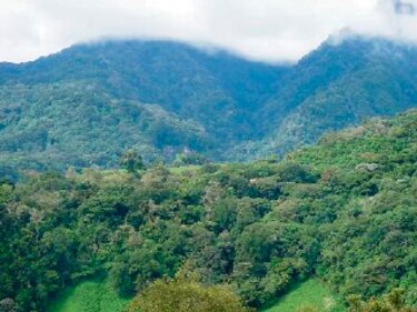 Piden a nuevas autoridades atender parque volcán Barú