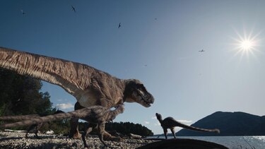 El hallazgo de un T-Rex adolescente puede revelar porqué era el rey de los dinosaurios
