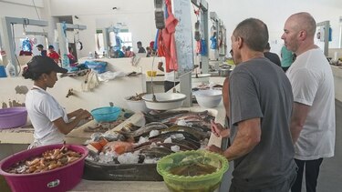 Pescados y mariscos frescos en Río Hato