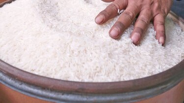 Plan piloto con arroz fortificado