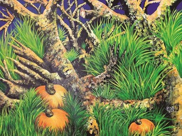 Tomás Pretelt presenta obras pictóricas en honor a la naturaleza