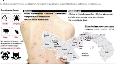 ‘Rickettsia rickettsii’ es un mal letal y reemergente en Panamá