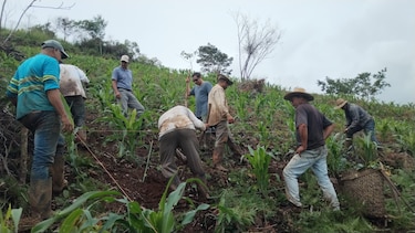 Grandes recursos, eterna improvisación: la dicotomía panameña