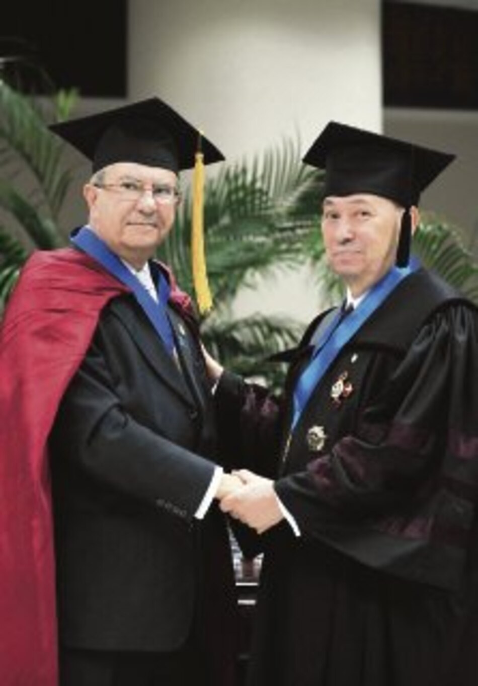 El guardián de las letras