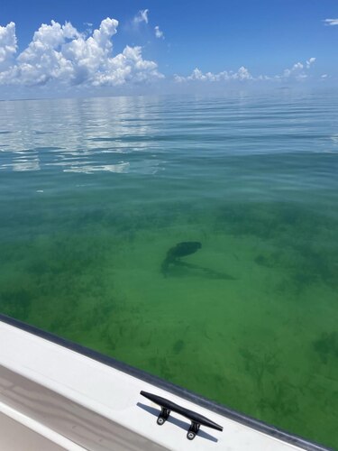 Hallan el ancla de un barco de vapor que naufragó en 1906 en Florida con 100 personas