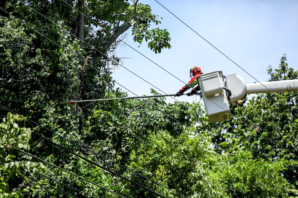 Trabajos de mantenimiento en la red eléctrica del 15 al 21 de diciembre 2025