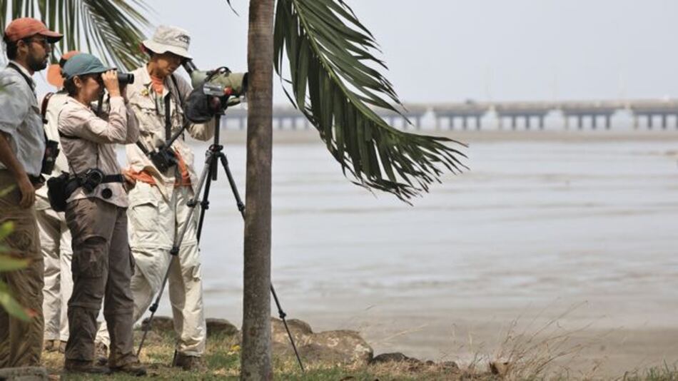 Una jornada para valorar a las aves