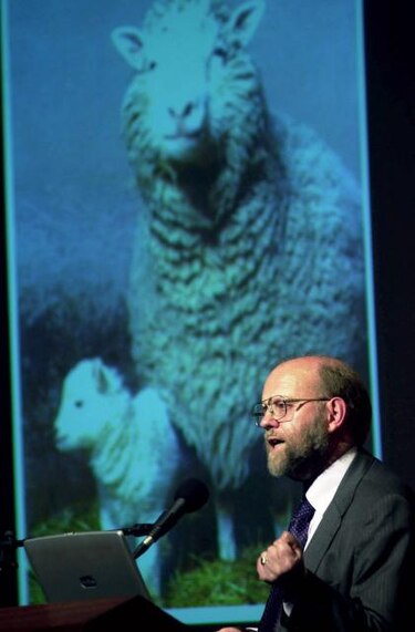 Muere Keith Campbell, uno de los padres de la oveja Dolly